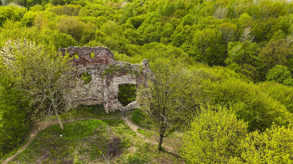 ruiny zamku w bochotnicy